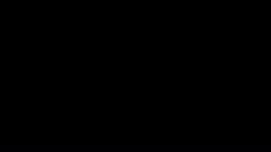 金色鎏金质感字幕故宫系列视频的预览图